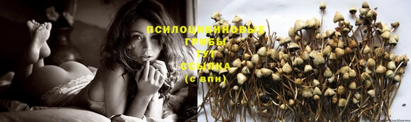 дмт Нефтегорск