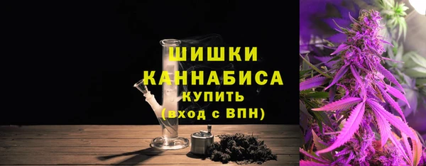 apvp Белокуриха