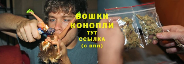 apvp Белокуриха