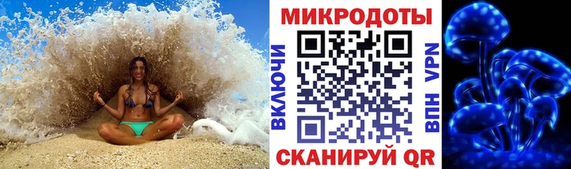 Псилоцибиновые грибы Psilocybine cubensis  Усмань 